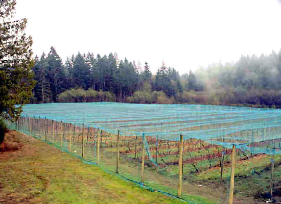 siatka_dzianina_cieniujaca_2